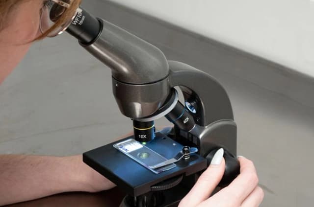 Microscopi Biologici