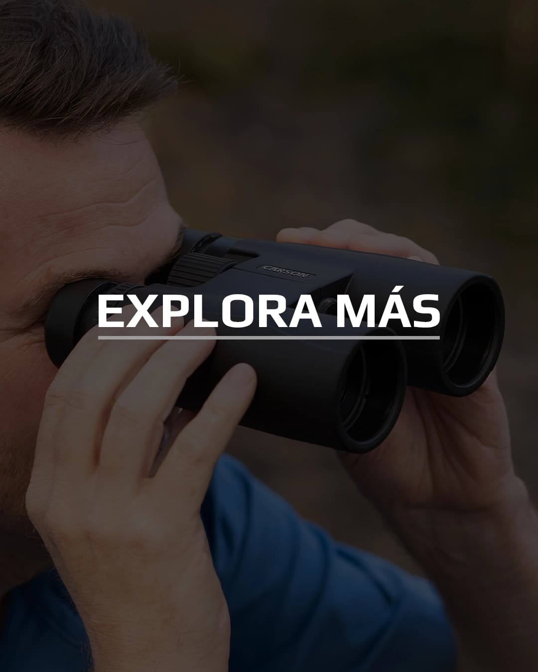 EXPLORA Y OBSERVA